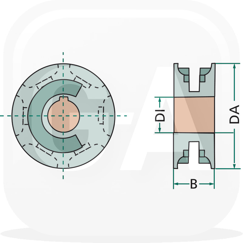 Noix etoilee Bergmann